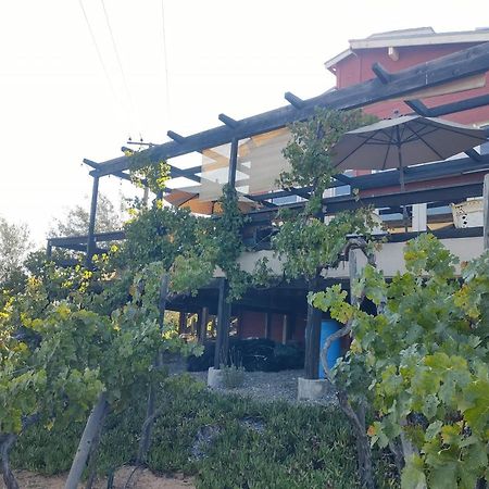 Rancho Los Amigos Cabin Lodge Ensenada Exteriér fotografie